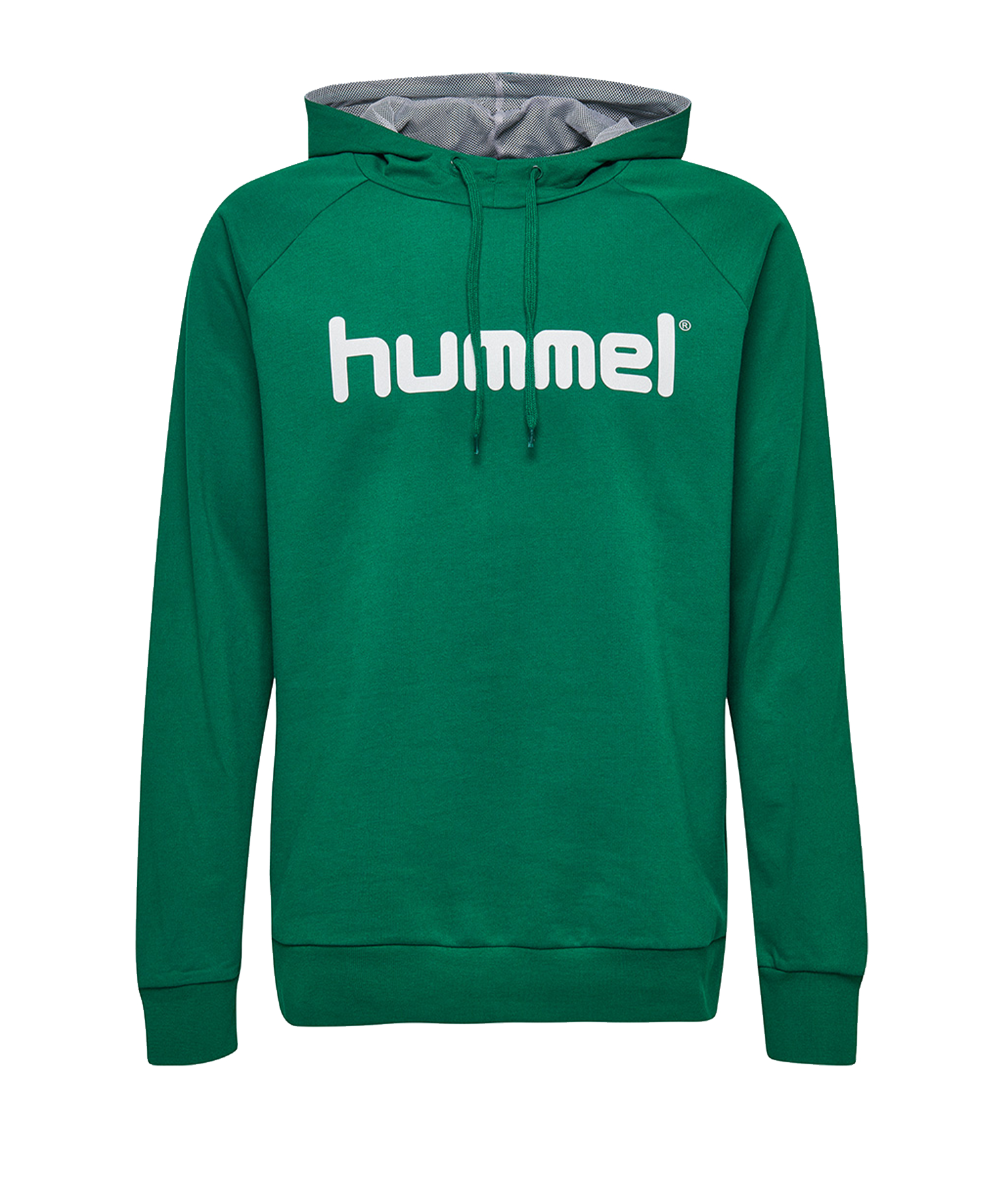 Hooded sweatshirt Hummel GO KIDS COTTON LOGO HOODIE