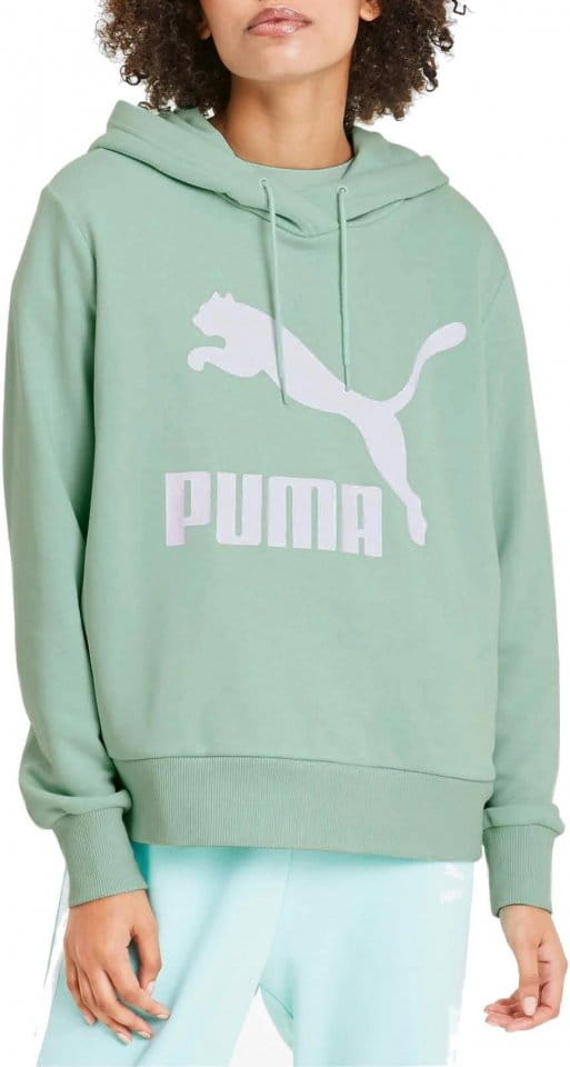 Hooded sweatshirt Puma Classic Logo Hoody W
