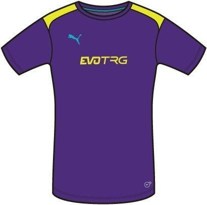 T-shirt Puma IT evoTRG Training Tee prism violet-flur