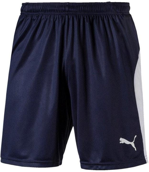 Puma LIGA Core shorts
