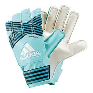 Goalkeeper's gloves adidas ACE YOUNG PRO