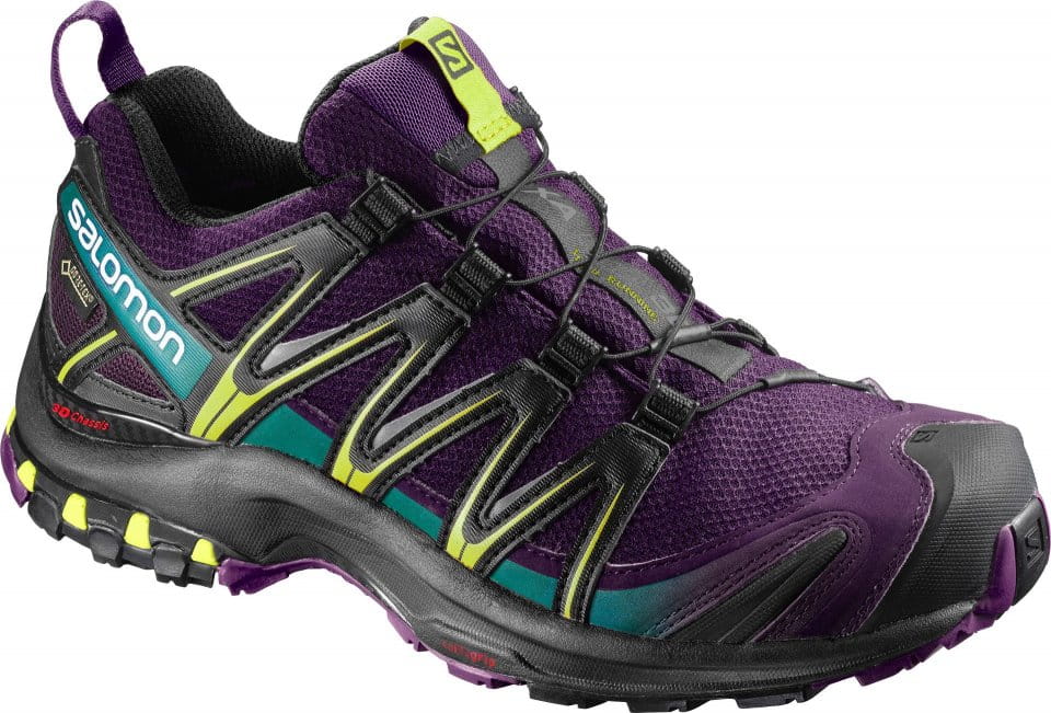 Trail shoes Salomon XA PRO 3D GTX®