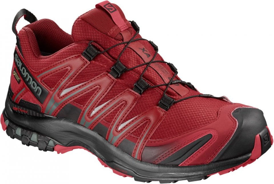 Trail shoes Salomon XA PRO 3D GTX