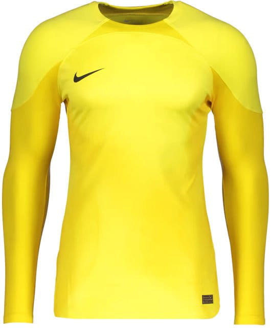 Long-sleeve Nike Foundation Long Sleeve Goalkeeper Jersey
