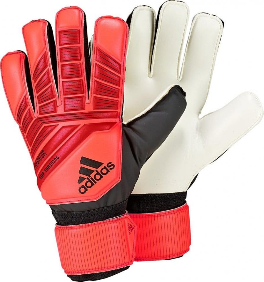 Goalkeeper's gloves adidas Predator top training
